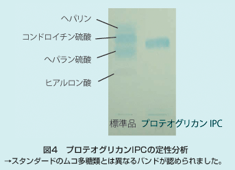 図4 プロテオグリカン IPCの定性分析